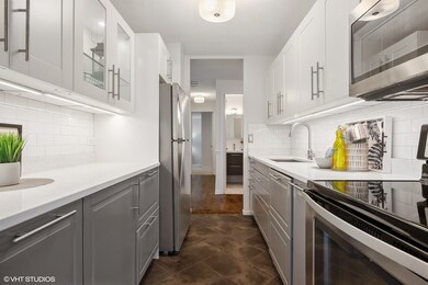 Dearborn Park High Rise 2 unit 1703, Chicago, IL 60605 - photo 5