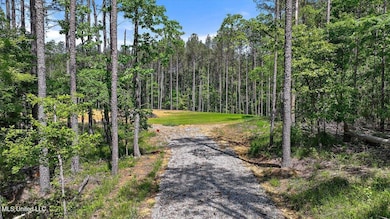 005 Pilgrim Rest Dr, Brandon, MS 39042 - photo 3