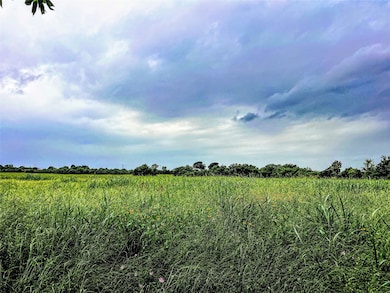 003 Old Phillipsburg Rd, Brenham, TX 77833 - photo 2