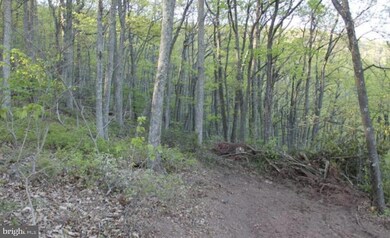 lot 353 Nathanial Mountain Rd, Moorefield, WV 26836 - photo 2