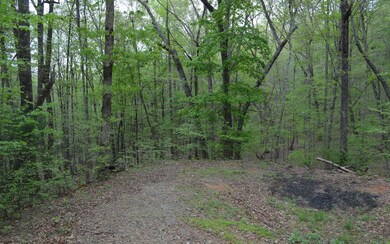 Additional View