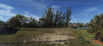 3920 SW 22nd Place, Cape Coral, FL 33914 - photo 3