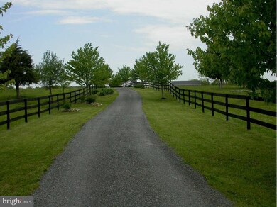 3955 Crums Church Rd, Berryville, VA 22611 - photo 3