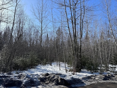 Lot 13 Tripp Dr, Bangor, ME 04401 - photo 5