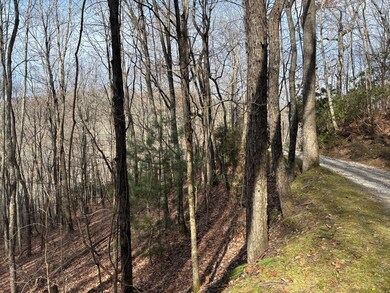 Lot 5 Mt Tabor, Franklin, NC 28781 - photo 7