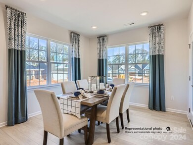 161 Pampas Place unit 226, Statesville, NC 28625 - photo 7