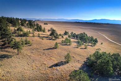 9128B Elkhorn Rd, Hartsel, CO 80449 - photo 3