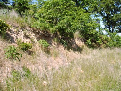 Tbd Johnson Way Ln, Kimberling City, MO 65686 - photo 5