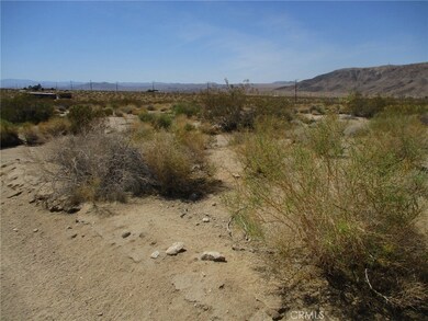 6888 Peterson Rd, Twentynine Palms, CA 92277 - photo 5