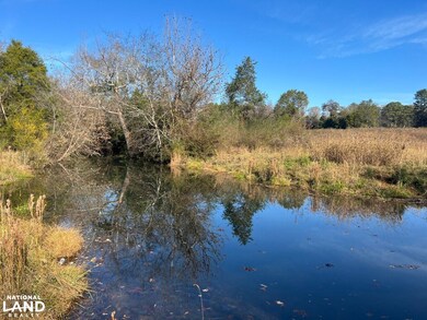 0001 Hwy 231, Vincent, AL 35178 - photo 6