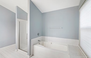 906 Heathrow Ln, Naperville, IL 60540 - photo 7