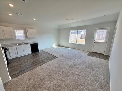 Open living area and kitchen