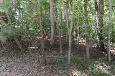 372 Kenway Loop, Mooresville, NC 28117 - photo 4