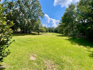 117 Keri Dr unit 874, Hazlehurst, MS 39083 - photo 6