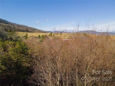 99999 Tremorra Trail unit 18, Leicester, NC 28748 - photo 3