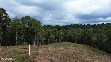 0 Higby Pvt Rd, Robbins, TN 37852 - photo 2