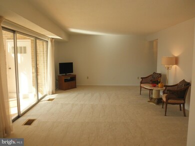 3211 S Leisure World Blvd unit 1A, Silver Spring, MD 20906 - photo 4