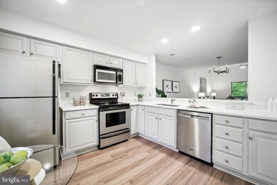 5704 Mayfair Manor Dr unit 95, Rockville, MD 20852 - photo 6