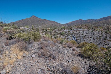 41927 n charbray 24-023-044-1500x1000