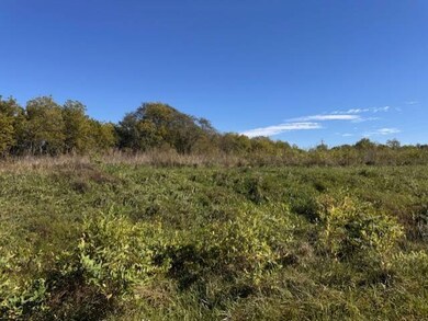 0 SE Ketchum Rd, Maysville, MO 64469 - photo 7