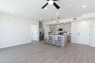 Kitchen/Living Space