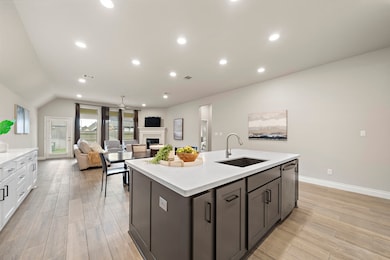 19015 Paso Fino Prairie Ln, Tomball, TX 77377 - photo 5