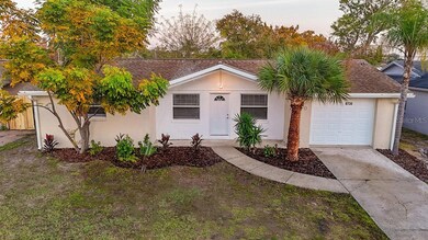 8730 Sabal Way, Port Richey, FL 34668 - photo 3