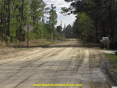 7363 Hucks Rd, Conway, SC 29526 - photo 4