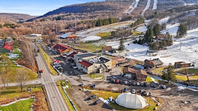 2127 Darius Dr, Cortland, NY 13045 - photo 7