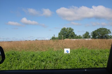 43 Turkey Loop, East Bernstadt, KY 40729 - photo 4