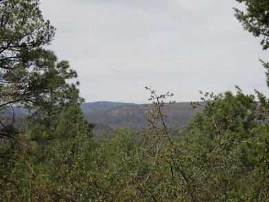 Photo 03