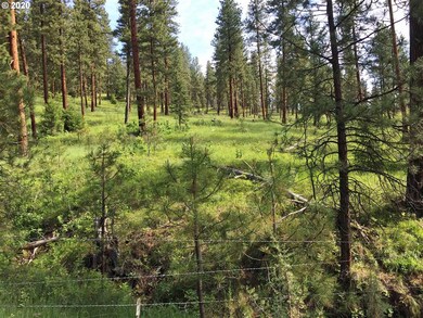 0 Malhuer Home unit 20598619, Prairie City, OR 97869 - photo 4