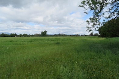 7740 Churn Creek Rd, Redding, CA 96002 - photo 6