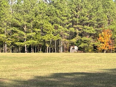 County Road 69, Selma, AL 36701 - photo 6