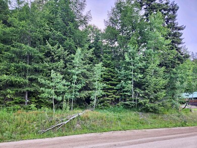 Situated Close to Tamarack Resort