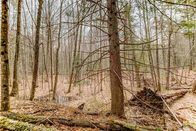 00 Hurricane Mountain Rd, North Conway, NH 03860 - photo 5