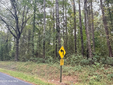 0 Creekmur Rd unit 100531497, Edward, NC 27821 - photo 4