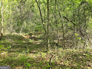 LOT 19 Smith Rd, Thomaston, GA 30286 - photo 6