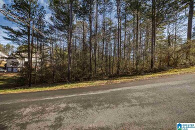 0 Scenic Trail unit 21411084, Oneonta, AL 35121 - photo 3