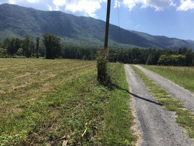 Lot 26 Cutshaw Ln, Greeneville, TN 37743 - photo 3