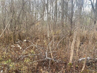 0 County Road 15 unit S1651526, Granger, NY 14735 - photo 7