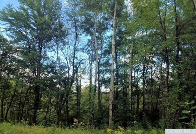 0 County Route 6 unit 105501, Clermont, NY 12526 - photo 5