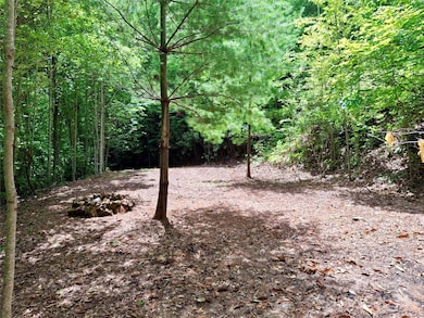 0 Sometimes Creek Rd, Sylva, NC 28779 - photo 4