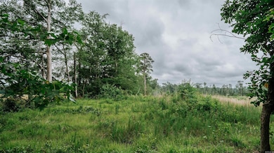 172 Lisbon Rd, SMacKover, AR 71762 - photo 4