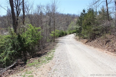 Lots 6, 7, 8 Lillie Bug Ln, Sunrise Beach, MO 65079 - photo 2