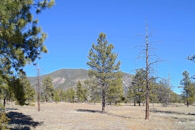 North View 2