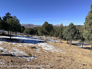 205 Timberline Place, Ruidoso, NM 88345 - photo 2