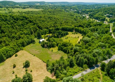 52 Fitzpatrick Ln Dushore-6