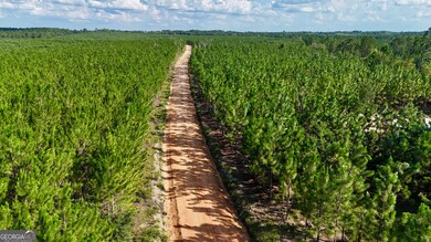 TRACTS 10 AND 1 Penny Morris Rd, Baxley, GA 31513 - photo 5