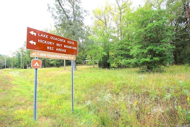 6113 Highway 270 E, Mount Ida, AR 71957 - photo 6